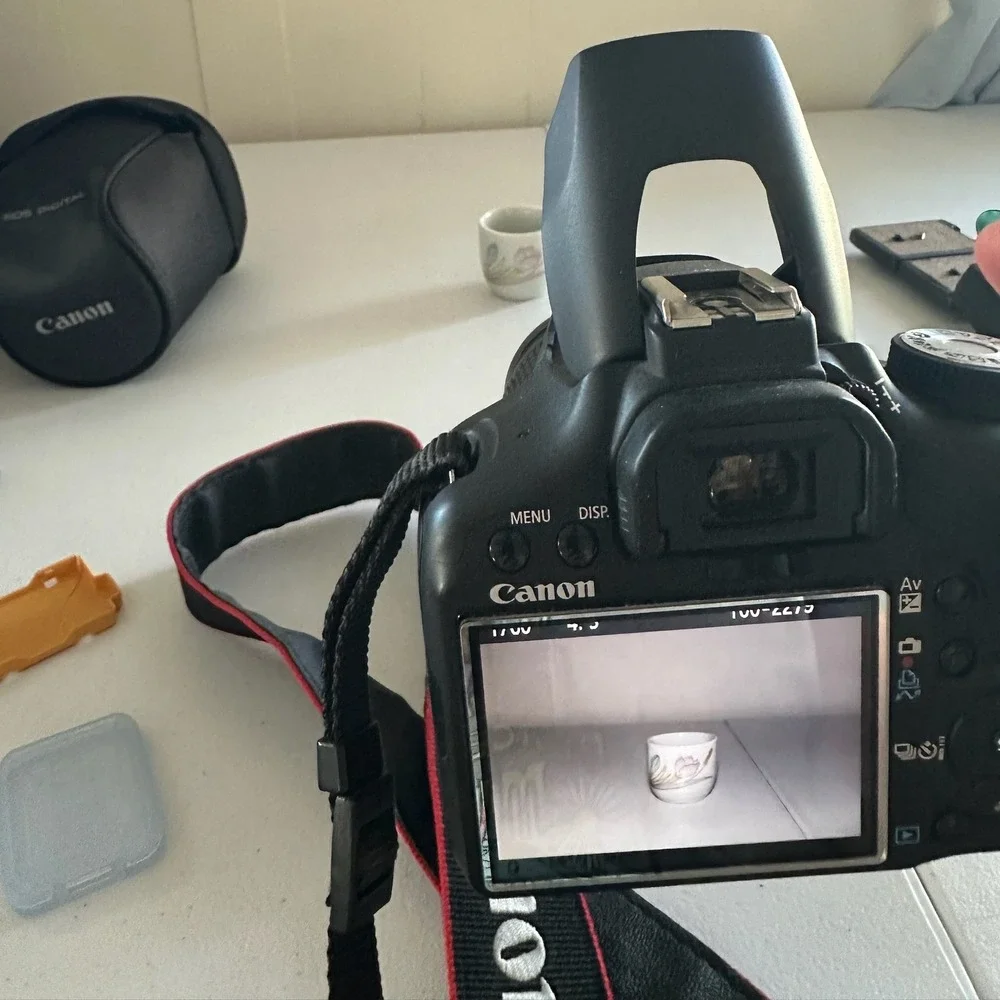 Canon EOS Rebel T1i (EOS 500D) Digital SLR Camera EF-S 18-55mm f/3.5-5.6 IS lens